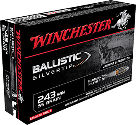 WINCHESTER SUPREME 243 WIN 55GR SILVER-TIP 20RD 10BX/CS < - for sale
