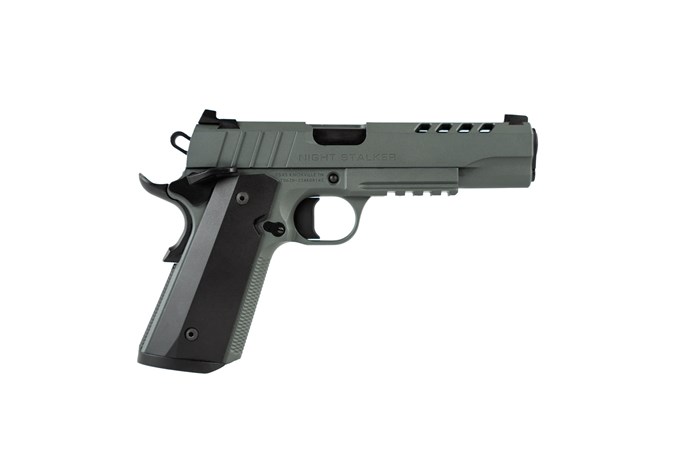 TISAS 1911 NIGHT STALKER 10MM 5 GRY - for sale
