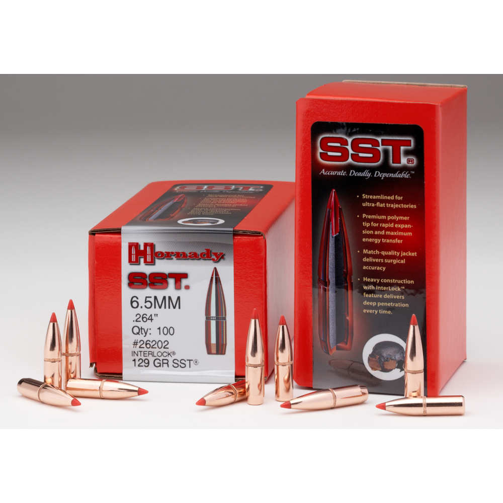 HRNDY SST 30CAL .308 165GR 100CT - for sale
