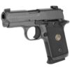 SIG SAUER P938 9MM PSTL LEGION GRY 3-17RD MAGS - Image 2