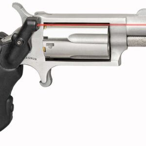 NAA MINI-REV W/VL 22MG SGL STS 11/8