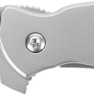 Kershaw 1620FL Scallion  2.40" Folding Drop Point Plain Bead Blasted 420HC SS Blade/Bead Blasted 410 Stainless Steel Handle Includes Pocket Clip