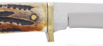 BEAR & SON INDIA STAG BIRD & - TROUT 3" W/LEATHER SHEATH USA - Image 4