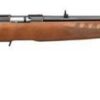 RUGER AMERICAN 22LR 10RD RFL BL/WD - Image 3
