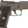 SIG P229 LEGION 9MM 3.9" - XRAY-3 (3)10RD OPT RDY G10/GRY - Image 2