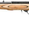 RUGER 10/22 22LR BISON SCENE - BLUED NATURAL LAMINATE STOCK - Image 2