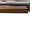 WINCHESTER SXP HYBRID FIELD - 20GA 3" 28"VR WALNUT GRAY - Image 2