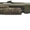 WINCHESTER SXP LONG BEARD 12GA - 3.5" 24" OD GREEN BOTTOMLAND - Image 2
