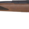 TIKKA T1X HUNTER 22LR 20" - THREADED WOOD BLUED - Image 2