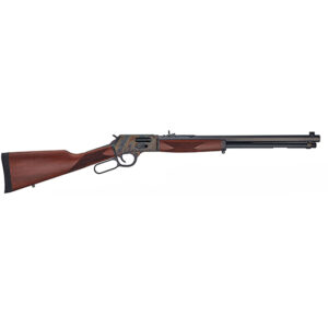 HENRY BIG BOY STEEL 20 44MAG 44SPL CASE SIDE GA