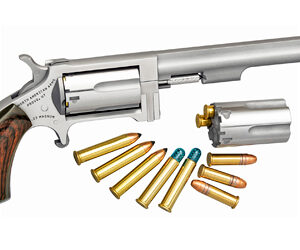 NAA SIDEWINDER 22LR/22WMR 4" 5RD STS