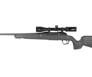 SAV AXIS 2 XP CMP 243WIN 20" 4RD GRY