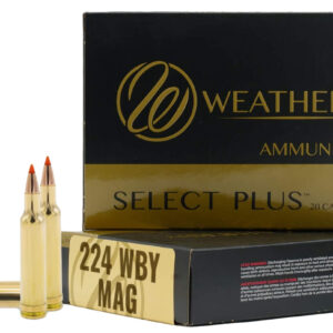 WBY AMMO 224WBY 50GR V-MAX 20/10