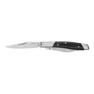 Kershaw Iredale Folding Pocketknife 2 3/5" Clip Point Blade Black