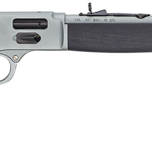 Henry H012GAW Big Boy All Weather Side Gate Full Size 44 Mag 10+1 20" Hard Chrome Plated Steel Barrel, Satin Hard Chrome Steel Receiver, Stained Hardwood Wood Stock Right Hand