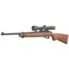 RUGER 10/22 HARDWD 22LR RFL W/ SCOPE - Image 2