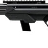 SAVAGE 64 PRECISION 22LR 10RD - 16.5" HB SYNTHETIC CHASSIS BLK - Image 2