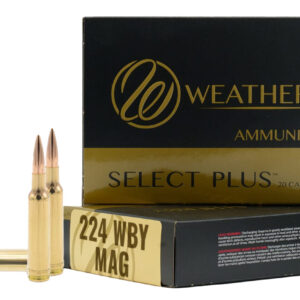 WBY AMMO 224WBY 80.5GR BERGER FBT 20/10