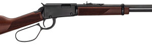 HENRY CLASSIC LEVER 22WMR - 19" BLUED WALNUT LARGE LOOP