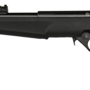 ROSSI RB 22LR 16.5 BLK 10RD EN01 US FLAG