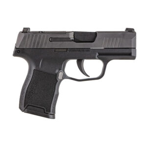 SIG P365 380ACP 3.1 BLK (2) 10RD MS MA COMP