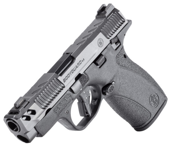 SW PC BODYGUARD 2.0 TS CARRY 380ACP 3.1 10/12R