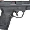 S&W SHIELD M&P9 9MM LUGER - HI VIZ FIBER OPTIC SIGHTS - Image 2