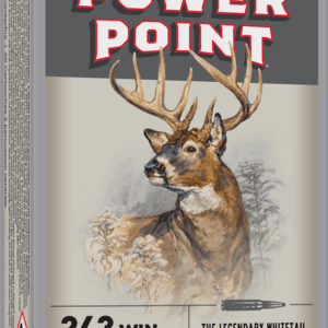 WINCHESTER SUPER X POWER POINT 243WIN 100GR 20RD BX 200RD CASE