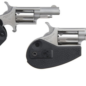 NAM MINI-REV 22LR 1.625SS HGRP
