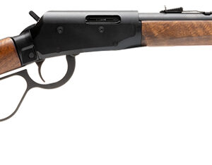 SAV REVEL CLASSIC 22WMR 18