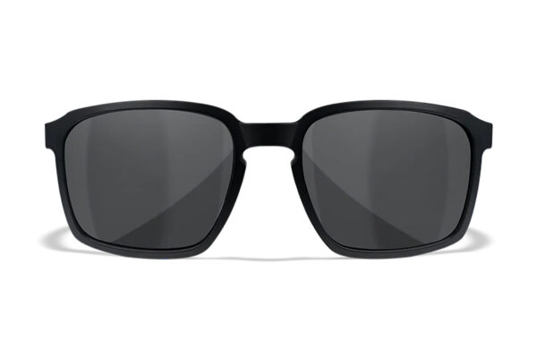 Wiley X AC6ALF02 Alfa  M/L Smoke Gray Lens Polycarbonate Matte Black Frame