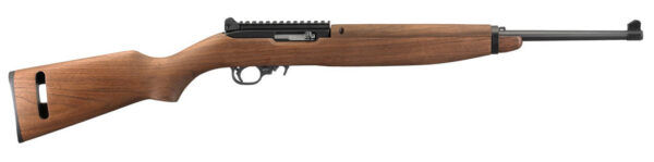 RUG 10/22 22LR 10 M1 SK TL