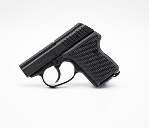 L.W. Seecamp LWS32BLK 6+1 2" .32 ACP Black