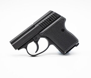 L.W. Seecamp LWS380BLK 6+1 2" .380 ACP Black