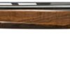 BERETTA A400 L SPORTING 12GA. - 3" 30"VR CT-3 WALNUT/BLUED - Image 2