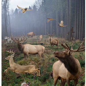 Action Target GSBIGHUNT100 Entertainment  Animals Paper Hanging 23" x 35" 100 Per Box