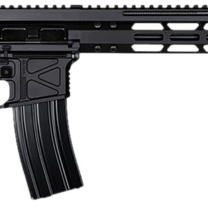 Global Ordnance LLC 197892003223 Monolithic  5.56 NATO 16" Barrel, M-LOK Handguard, Modular Black Stock, Black Polymer Grip