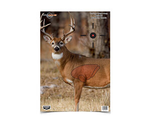 B/C PREGAME DEER TGT 3-16.5X24