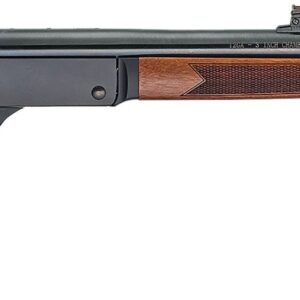 HEN SNG SHTGN 12GA SLUG 28B