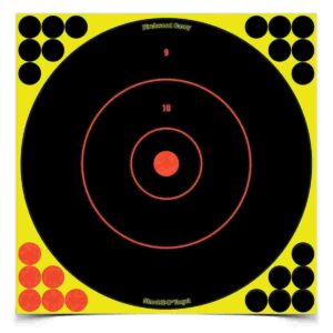 Birchwood Casey Shoot-N-C Bull's Eye Targets 12" 500/ct