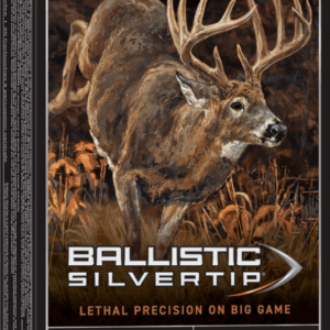 300 WIN MAG 180GR SLVRTP 20RD BOX