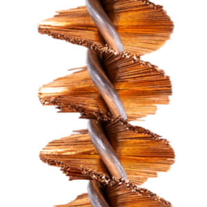 KleenBore SC205 ChamberMate Chamber Brush 12 Gauge Shotgun #5/16-27 Thread Phosphor Bronze Bristles