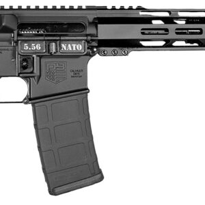 Diamondback DB175AK003 DB15  5.56 NATO 30+1 Black Nitride Black Hardcoat Anodize Aluminum Receiver, 12" M-LOK Handguard, Black A2 Grip