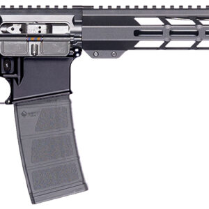 Patriot Ordnance Factory 02317  P-15 Base 5.56 NATO 10+1 16.50" Black Anodized A2 Style Grip *California Compliant