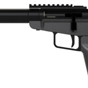 DARK MOUNTAIN ARMS STOW AWAY 5.7X28MM 5 BRACE