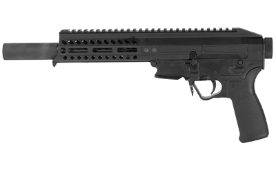 POF01837_1 - Garrison's Guns