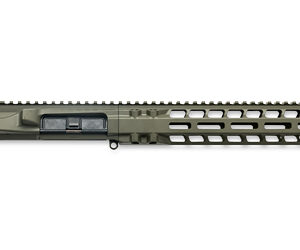 RADIAN UPPER/HANDGUARD SET 10" ODG