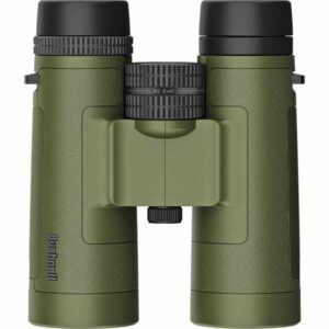 Bushnell 8x42 Banner R3 Binoculars Ranger Green